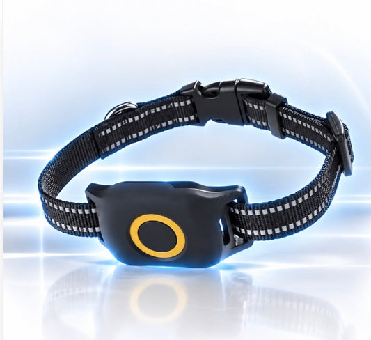 Invisible Dog Tracking GPS